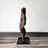 Driftwood Art Sculpture "Contour Cranium" | Sculptures by Sculptured By Nature  By John Walker. Item made of wood works with minimalism style