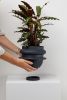 Bud Planter | Vases & Vessels by Capra Designs