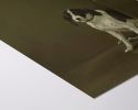 Cane di Milano | Prints by Catherine H