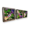 Moss Wall Art, Pressed Flower Art, Preserved Moss Decor | Living Wall in Plants & Landscape by Sarah Montgomery