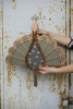 The Peacock | Wall Sculpture in Wall Hangings by Umasqu