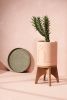 Cork Plant Stand | Plants & Landscape by Capra Designs