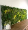 Living Moss Wall Art Dimensional Painting, Moss and Fern | Living Wall in Plants & Landscape by Sarah Montgomery