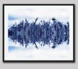 Blowing in the Wind - Sapphire | Photography by Joanie Landau