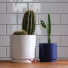 Kolo Planter - 2 sizes | Vases & Vessels by Misewell