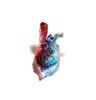 Anatomical Heart Vase | Decorative Objects by Esque Studio