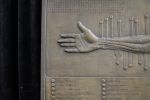 Anatomical Arm Relief Sculpture- Bronze edition 3/25 | Wall Sculpture in Wall Hangings by dellsculpture