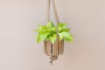 6" Neon Pothos + Hanging Planter Basket | Plant Hanger in Plants & Landscape by NEEPA HUT. Item composed of wood and fiber