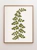 Fern Print Set, Fern Prints set of 6 or 8 fern prints | Prints by Capricorn Press. Item composed of paper in boho or country & farmhouse style