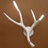 JT215 Antler Wall Sconces | Sconces by Alan M