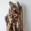 Large Driftwood Sculpture Art Object "Gaping Undulation" | Sculptures by Sculptured By Nature  By John Walker