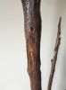 Large Driftwood Sculpture "Vale" | Sculptures by Sculptured By Nature  By John Walker. Item made of wood compatible with minimalism style