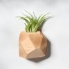 GEORGIA Maple Air Plant Holder | Planter in Vases & Vessels by Untitled_Co