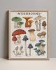 Woodland Mushrooms | Prints by The Ugly Cat Studio