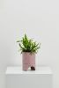 Archie Planter | Vases & Vessels by Capra Designs