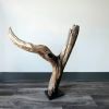 Driftwood Art Sculpture "Don't Ask Why" | Sculptures by Sculptured By Nature  By John Walker. Item composed of wood in minimalism style