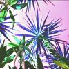 Party Palms | Photography by Neon Dunes by Lily Keller