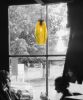ELETTRA · Gold Topaz | Pendants by LUMi Collection. Item made of glass