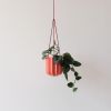 Wrap Hanging Kit | Planter in Vases & Vessels by Misewell