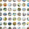 One Hundred Vintage Encyclopedia Dots Collage #3 | Paintings by Amelia Coward