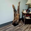 Driftwood Art Sculpture "Snap" | Sculptures by Sculptured By Nature  By John Walker. Item composed of wood in minimalism style