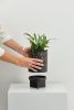 Tri Planter | Vases & Vessels by Capra Designs