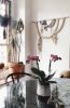 Who Loves the Sun Wall Art | Macrame Wall Hanging in Wall Hangings by Modern Macramé by Emily Katz. Item composed of wood and cotton