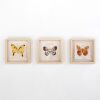 Mini Moth Set | Mixed Media by Tanana Madagascar. Item made of fabric