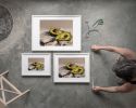 Avocado Still Life Art Print, Creamy Fruit Kitchen Wall Art | Prints in Paintings by The Ugly Cat Studio
