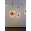 Alan Mizrahi WM2124 Sofia | Chandeliers by Alan Mizrahi Lighting Design