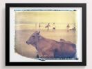 Surf Cow | Photography by She Hit Pause. Item composed of paper
