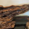 Driftwood Tabletop Display Piece "Relaxed" | Sculptures by Sculptured By Nature  By John Walker. Item composed of wood in minimalism style