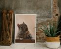 Brigette With A Walnut | Prints by The Ugly Cat Studio