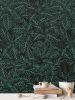 Zebra Plant - Wallpaper Large Print | Wall Treatments by Sean Martorana. Item composed of paper