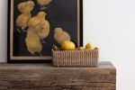 Abaca Storage Tray | All Natural | Decorative Tray in Decorative Objects by NEEPA HUT. Item made of fiber