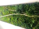 Statement Wall Art, Green Moss Wall Art Real Large Plant | Living Wall in Plants & Landscape by Sarah Montgomery