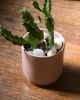 Kolo Planter - 2 sizes | Vases & Vessels by Misewell
