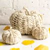 Simple Crochet Pumpkin DIY KIT | Ornament in Decorative Objects by Flax & Twine. Item made of linen