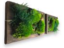 Framed Moss Wall Art Set Botanical Living Walls Sculpture | Plants & Landscape by Sarah Montgomery