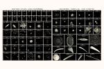 Vintage scientific astronomy print with Spiral Nebula, Comet | Prints by Capricorn Press. Item composed of paper in boho or minimalism style