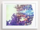 Purples + Oranges | Photography by She Hit Pause. Item made of paper