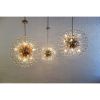 Alan Mizrahi WM2124 Sofia | Chandeliers by Alan Mizrahi Lighting Design