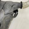 Bison Skull - Black | Wall Sculpture in Wall Hangings by Farmhaus + Co.. Item made of wood