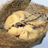 Wild Silk Lavender Sachet  - Tree Orchid | Ornament in Decorative Objects by Tanana Madagascar. Item made of cotton