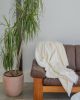 Alaia Sherpa Throw - COCONUT | Linens & Bedding by HOUSE NO.23