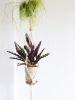 Double Basket Plant Hanger with Ceramic Beads | Plants & Landscape by Modern Macramé by Emily Katz. Item made of cotton with ceramic