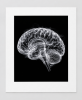 EXPOSED 005 — BRAIN | Decorative Objects by Exposedart