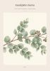 Botanical Watercolor Art Prints Bundle 18 Pages Printable Wall Art Eucalyptus Peony Olive Monstera Lavender Digital Download A4 Home Decor | Digital Art in Art & Wall Decor by Colorize Paper Studio