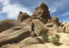 "Jumbo Rocks" Art Print | Prints in Paintings by Kim Knoll Art. Item made of paper