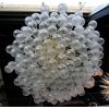 Alan Mizrahi QZ2128 Broadway | Chandeliers by Alan Mizrahi Lighting Design